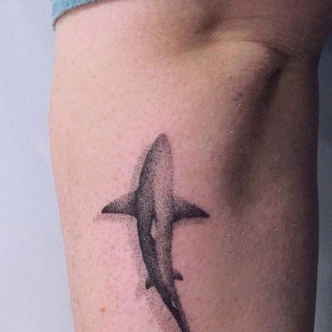 𝗚𝗼𝗹𝗱𝗲𝗻 𝗜𝗿𝗼𝗻 𝗧𝗮𝘁𝘁𝗼𝗼 𝗦𝘁𝘂𝗱𝗶𝗼 on Instagram: "Shark by Queenie _____________________________________________  @queenie_tattoo_ist  ______________________________________________ #Goldenirontattoostudio #Thefineartfactory #Teamgoldeniron ______________________________________________  #tattoo #torontotattoo #sharktattoos #sharktattoo #sharks #shark #dotwork #dotworktattoo #blackworktattoo #blackwork" Tattoo Shark, Iron Tattoo, Pointillism Tattoo, Tattoo Toronto, Shark Tattoo, Shark Tattoos, Dot Work Tattoo, Blackwork Tattoo, Tattoo Inspo