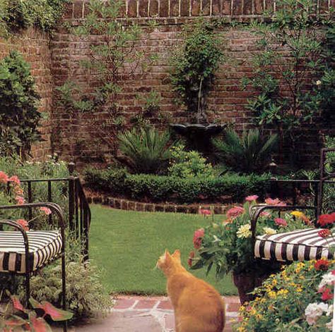 I love that brick 'fence' and the orange kitty! Brick Terrace Garden, Courtyard Brick Wall, Brick Privacy Fence, Brick Fence Ideas Front Yard, Brick Wall Fence, Brick Wall Garden, Courtyards Ideas, Brick Fences, Fence Brick