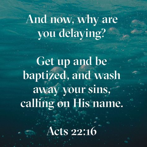 And now, why are you delaying? Get up and be baptized, and wash away your sins, calling on his name.’ Acts 22:16 CSB Being Baptized, Getting Baptized, Audio Bible, Finding Jesus, Daily Bible Reading, Bible Versions, Prayer Warrior, Favorite Bible Verses, Prayer Quotes