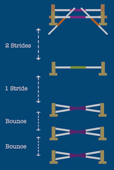 Horse Jump Exercises, Horse Pole Work Exercises, Grid Work For Horses, Jumps For Horses, Horse Gymnastic Exercises, Jump Courses For Horses, Pole Work Exercises For Horses, Showjumping Course, Jumping Exercises For Horses