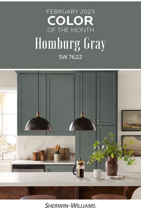 Moody Den, Homburg Gray, Kitchen Island Colors, Dark Grey Kitchen, Color Of The Month, Paint Decor, Sherwin Williams Colors, House Color Palettes, Favorite Paint Colors