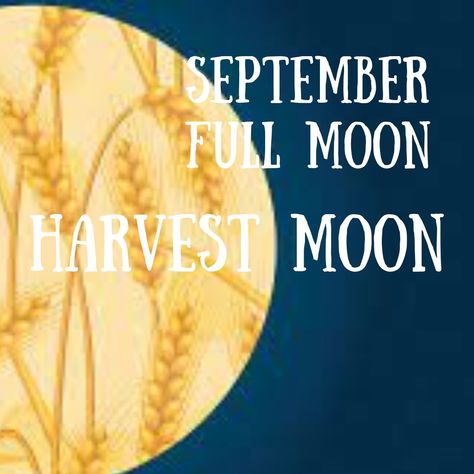 September's full corn moon is so called because this is when crops are gathered at the end of the summer season. 🌟 At this time, the Moon appears particularly bright and rises early, letting farmers continue harvesting into the night. 🌟 This moon is also sometimes named the barley moon, and it is often the nearest full moon to the autumnal equinox, earning the title of 'harvest moon'. Happy full moon and as always tiny phone friends, if you found this post helpful, please hit that share bu... Tiny Phone, Happy Full Moon, Corn Moon, Autumnal Equinox, Into The Night, Harvest Moon, Barley, Summer Season, Full Moon