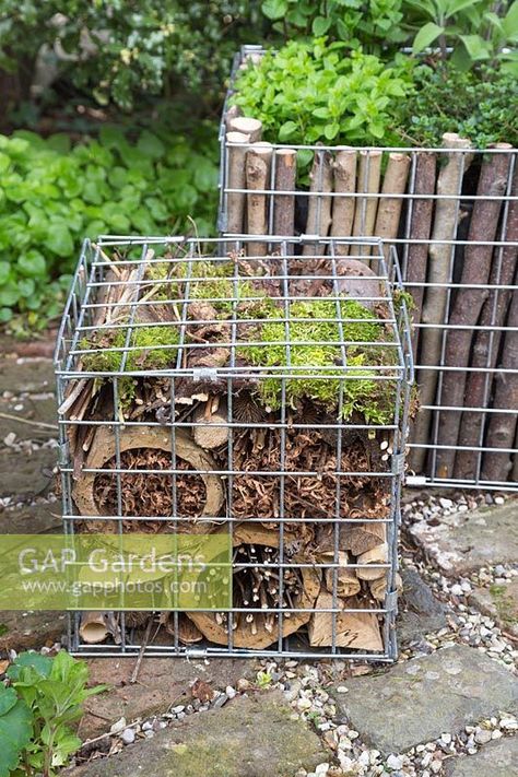 Insect hotel within a gabion container ... Gabion Bug Hotel, Gabion Baskets, Bee Hotel, Insect Hotel, Bug Hotel, Gabion Wall, Garden Insects, Upcycle Garden, Plant Photography