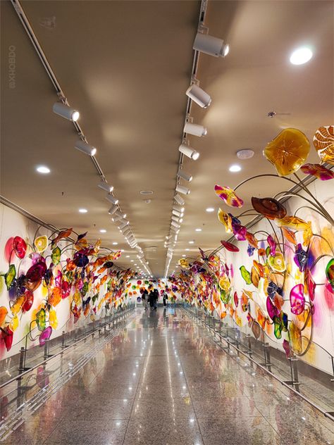 Amazing floral design installations at Lucknow Airport Terminal 3 Lucknow Airport, Travel Snap, Airport Terminal 3, Happy Durga Puja, Airport Terminal, 28th October, 13 March, 23 March, 26 March