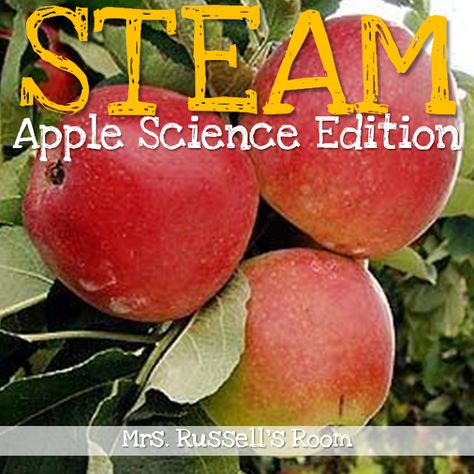 Steam School, Apple Day, Homeschool Stem, Apple School, Second Grade Science, Apple Unit, Science Reading, Apple Stem, First Grade Science