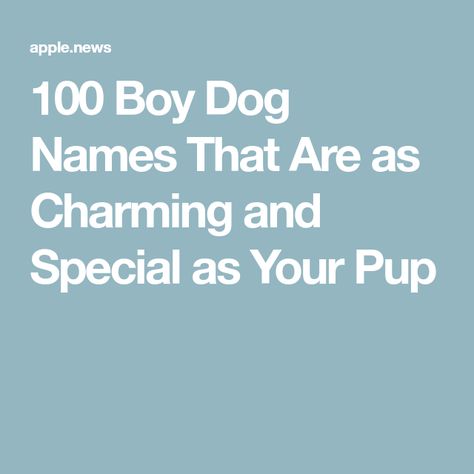 100 Boy Dog Names That Are as Charming and Special as Your Pup Best Dog Names Boys, Big Dog Names Male, Funny Dog Names Boy, Names For Dogs Boys, Strong Dog Names Male, Unique Dog Names Boy, Male Puppy Names, Puppy Names Boy, Boy Puppy Names Unique