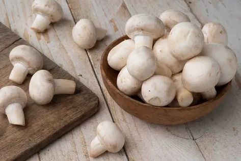 Delve into the role and benefits of protein in mushrooms, uncovering their potential for a balanced and nutritious diet. - #benefitsofmushroomsasprotein #howmushroomscontributeprotein #mushroomaminoacids #mushroomproteincontent #mushroomproteinlevels #mushroom-basedprotein. #nutritionalvalueofmushrooms #proteinderivedfrommushrooms #proteinfoundinfungi #protein-richmushrooms #roleofmushroomproteinindiet #understandingproteininmushrooms Foods For Hair, Calcium Deficiency, Mushroom Benefits, Button Mushroom, Button Mushrooms, Nutrient Deficiency, Nutritious Diet, Nutrient Rich Foods, Food Industry