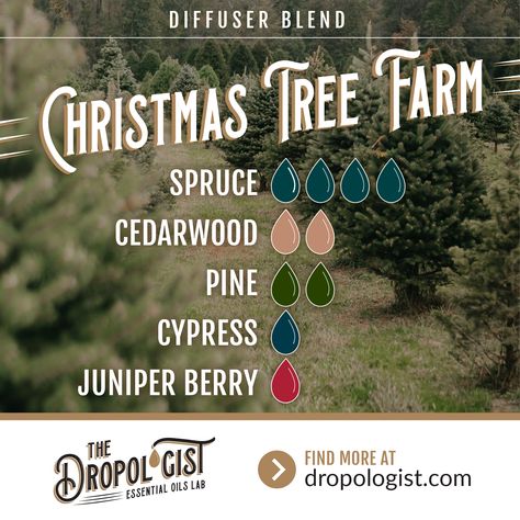 Christmas Essential Oil Diffuser Blends, Christmas Tree Essential Oil, Pine Essential Oil, Cypress Essential Oil, Essential Oil Diffuser Blends Recipes, Perfume Recipes, Essential Oil Diffuser Recipes, Oil Diffuser Recipes, Essential Oil Blends Recipes