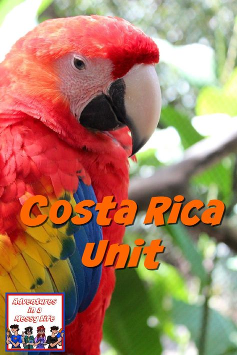 Costa Rica unit #geographylesson #cookingaroundtheworld Costa Rica Activities For Classrooms, Costa Rica Kindergarten, Costa Rica Unit Study, Costa Rica Crafts For Kids, Costa Rica Activities, Hispanic Heritage Month Crafts, Costa Rica Art, Cost Rica, Hispanic Heritage Month Activities