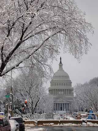 Christmas in DC Washington Dc Aesthetic Winter, Christmas In Dc, Washington Christmas, Dc Winter, Washington Winter, Dc Christmas, Dc Aesthetic, White House Christmas, Washington Dc Travel