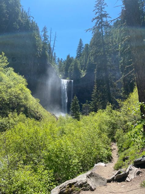 Nature Oregon, Oregon Spring, Oregon Nature, Oregon Coastline, Aesthetic Scenery, Oregon Forest, Mama Earth, Oregon Life, Heart In Nature