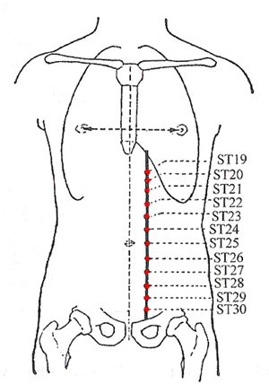 ST19 – ST21 – Stomach ache, Gastric pain, vomiting, poor appetite, abdominal distention, diarrhea  ST22 – Abdominal distention and pain, borborygmus, diarrhea  ST23 – Psychosis, irritability, protruding tongue  ST24 – Manic psychosis, vomiting, protruding tongue, stiff tongue  ST25 – Tianshu - Abdominal distention, borborygmus, pain around the umbilicus, constipation, diarrhea, dysentery, irregular menstruation  ST26 – Abdominal pain, hernia  ST27 – Lower abdominal distention and pai Stomach Meridian Points, Stomach Meridian, Traditional Chinese Medicine Acupuncture, Tcm Traditional Chinese Medicine, Stomach Gas, Meridian Points, Health Zone, Massage Therapy Techniques, Health Heal