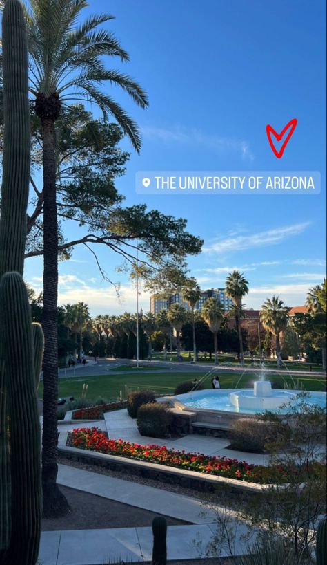 Tucson Arizona Aesthetic, Asu Aesthetic, University Of Arizona Aesthetic, Asu College Aesthetic, University Of Arizona Sorority, Uofa Wildcats Arizona, U Of Arizona, University Of Arizona Campus, Bear Down Arizona