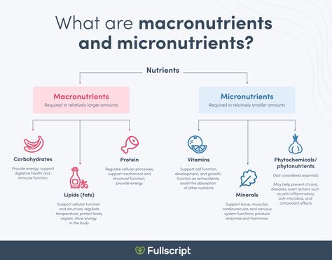 Macro Micro Nutrients, Macronutrients And Micronutrients, Macro Vs Micro Nutrients, Macro And Micro Nutrients, Micro Nutrients Food, Understanding Nutrition, Feminine Things, Track Diet, Work Recipes