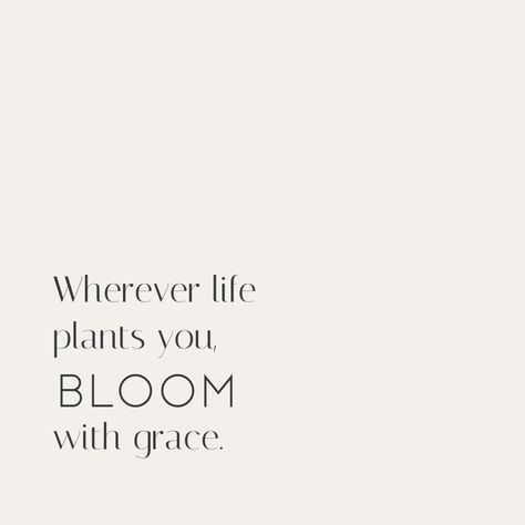 Wherever Life Plants Bloom With Grace, Bloom Where You Are Planted Bible Verse, Bloom With Grace Quotes, Midweek Reminder, Florist Shop Interior, Growing Quotes, Bloom With Grace, Grace Quotes, Keep Walking