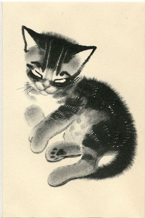 White Drawing, Watercolor Cat, Cat Posters, Cats Illustration, Black And White Drawing, Vintage Cat, Cat Painting, Cat Illustration, Pics Art