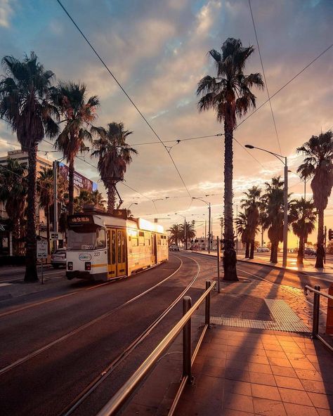 St Kilda Melbourne, Australia Quote, Melbourne Tram, Places In Melbourne, Melbourne Suburbs, Australia Tourism, Melbourne Street, Australia Animals, Melbourne Cbd