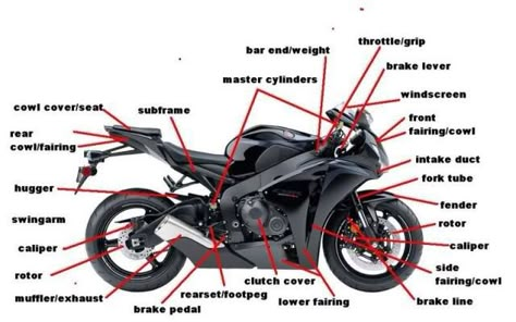 Motorcycle Diagram for new riders. - Honda CBR250R Forum : Honda CBR 250 Forums Types Of Bikes Motorcycles, Sports Touring Motorcycles, Best Beginner Motorcycle, Different Motorcycle Types, Motorcycle Information, Parts Of Motorcycle, Motorcycle Diagram, Types Of Motorcycles, Honda Cbr 250r