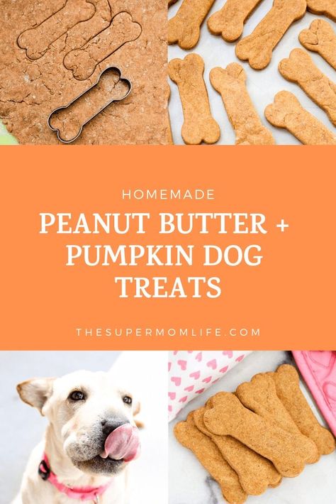 Homemade Peanut Butter and Pumpkin Dog Treats - The Super Mom Life Peanut Butter Pumpkin Dog Treats, Pig Treats, Dog Cookie Recipes, Homemade Dog Cookies, Dog Treat Recipe, Dog Treats Homemade Easy, Easy Dog Treat Recipes, Doggy Treats, Dog Biscuit Recipes