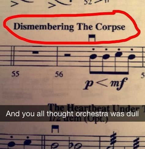 Orchestra Memes Funny, Band Kids Humor, Orchestra Jokes, Funny Band Jokes, Orchestra Humor, Musician Memes, Musician Jokes, Music Memes Funny, Band Funny