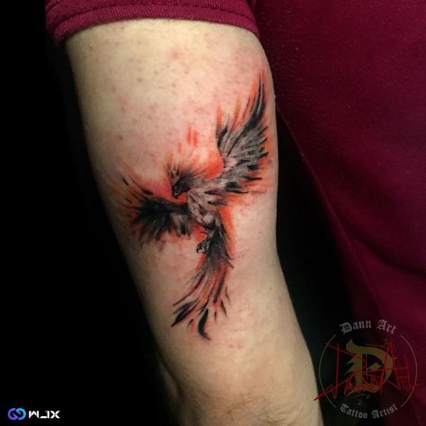 Phoenix Tattoo, Feminine Rebirth Phoenix Tattoo, Feminine Phoenix Tattoo, phoenix tattoo men, phoenix tattoo women, feminine unique phoenix tattoo, phoenix tattoo designs, male phoenix tattoo, male rebirth phoenix tattoo, fire phoenix tattoo, small phoenix tattoo, simple phoenix tattoo, black phoenix tattoo, japanese phoenix tattoo, ben affleck phoenix tattoo, phoenix tattoo simple, tribal phoenix tattoo, female beautiful phoenix tattoo, phoenix tattoo ideas, watercolor phoenix tattoo Phoenix Tattoo Fire, Male Phoenix Tattoo, Unique Phoenix Tattoo, Phoenix Tattoo Black, Black Phoenix Tattoo, Fire Phoenix Tattoo, Simple Phoenix Tattoo, Feminine Phoenix Tattoo, Phoenix Tattoo Women