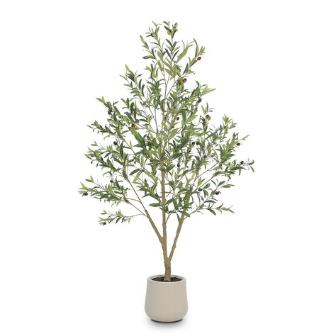 PRICES MAY VARY. ✅ Planter Included - Our olive tree comes with a 10.25 inch White Planter ,save extra purchase of planter.The artificial Olive tree is pre-assembled in a sturdy plastic planter for easy placement and care. ✅ Easy Maintenance - No sunlight,No watering, No pruning, No fertilizer required, the faux plants tall is an ideal room decoration for people who love plant but don’t have the time or energy to care for a real one. ✅ Lifelike Artificial Plant - Realistic looking plant with vibrant colors, and true to life texture details.The olive trees artificial indoor are lifelike, when it is windy, it can sway in the breeze, creating a natural and comfortable atmosphere, bringing you comfort and adding color to your room. ✅ Perfect All Seasons Home Decor - Suitable for living room, s Tall Olive Tree, Faux Plants Living Room, Olive Tree Indoor, Tall Fake Plants, Plastic Planter, Faux Olive Tree, Wood Trunk, Girls Rooms, Tall Planters