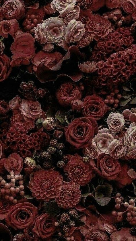 Floral Wallpaper Iphone Aesthetic, Maroon Wallpapers Aesthetic, Aesthetic Wallpaper Rose, Aesthetic Iphone Wallpaper Vintage, Aesthetic Mobile Wallpaper, Aesthetic Mobile, Maroon Aesthetic, Moody Wallpaper, Wallpaper Iphone Aesthetic