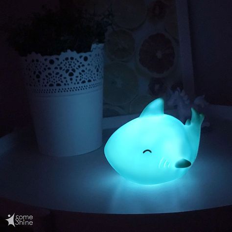 Cute Shark Stuff, Shark Items, Fear Of Darkness, Shark Board, Shark Bathroom, Shark Things, Shark Bedroom, Underwater Bedroom, Shark Room