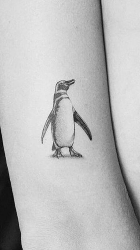 Emporer Penguin Tattoo, Emporer Penguin, Tattoo 2024, Penguin Tattoo, Tattoo Idea, I Tattoo, Penguins, Tatting, Tattoos