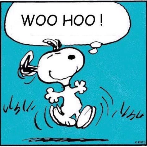 Woo hoo! 😆 Snoopy Dance, Peanuts By Schulz, Snoopy Comics, Snoopy Funny, Hello Friday, Snoopy Images, Peanuts Cartoon, Snoopy Quotes, V Bts Wallpaper