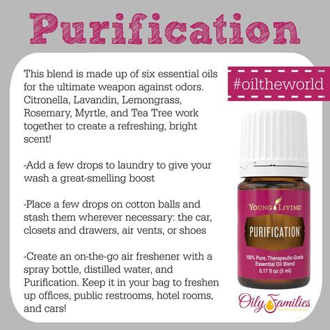 Purification Essential Oil Young Living, Valor Essential Oil Young Living, Cinnamon And Lavender Essential Oil, Purification Oil, Young Living Purification, Lavender Essential Oil Benefits, Benefits Of Lavender Essential Oil, Purification Essential Oil, Young Living Lavender