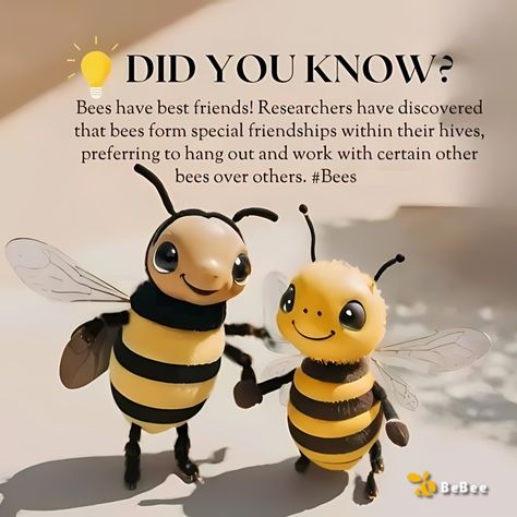 Besties & BeBees Bee Humor, Healing Activities, Honey Bee Facts, Animal Facts Interesting, The Secret Life Of Bees, Backyard Bee, Fun Facts For Kids, Honey Bee Decor, The Bees Knees