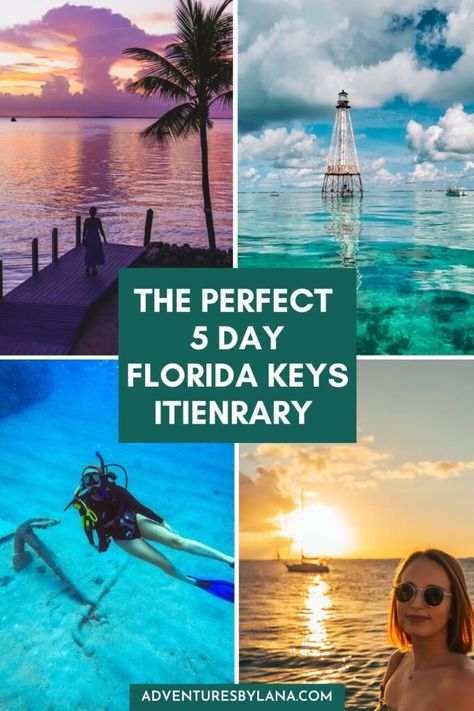 The BEST 5 Day Florida Keys Itinerary in Paradise! Florida Keys Travel, Fort Lauderdale Airport, Florida Keys Road Trip, Miami Airport, Top Highlights, Florida Springs, Caribbean Resort, Florida City, Tropical Travel