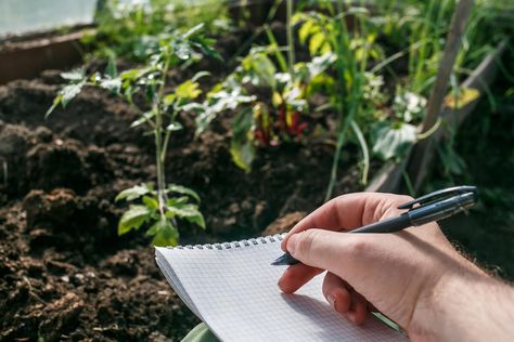 March Garden Checklist Zones 6-8 | Kellogg Garden Organics™ Plant Bed, Garden Checklist, Garden Prepping, List Of Vegetables, Dog Washing Station, Black Thumb, Photo Sleeve, Plant Tags, Starting A Garden