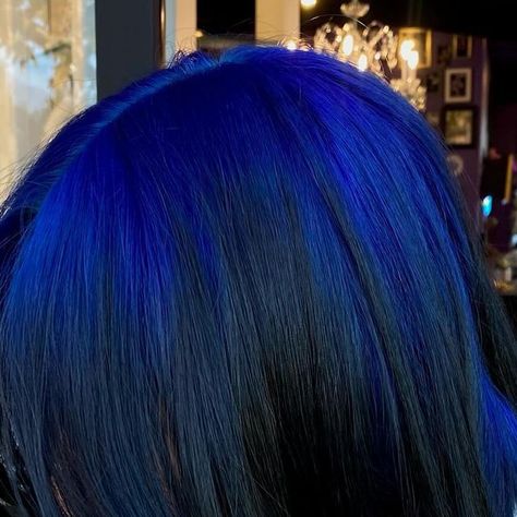 🤍 liana 🤍 on Instagram: "Blue ghost roots 💙🖤💙 

#ghostroots #bluehair #blueandblackhair #layeredhaircut #blowout #hairinspo #hairideas #thehairwitchprojectclaremont #claremont #thehairwitchproject #claremontvillage #iehairstylist #altsalon #spookysalon #iehairsalon" Blue Roots Hair, Blue Ghost Roots, Ghost Roots Hair, Ghost Roots, Blue Roots, Blue Ghost, Cute Hair Colors, Dye Ideas, Color Inspo