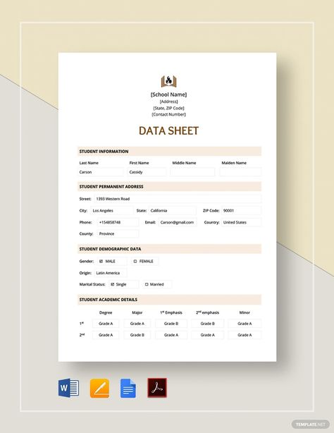 Data Sheet Template Data Sheet Design, Personal Data Sheet, Rack Card Templates, Downloading Data, Student Information, Rack Card, Sheet Template, Modern Web Design, Blog Website