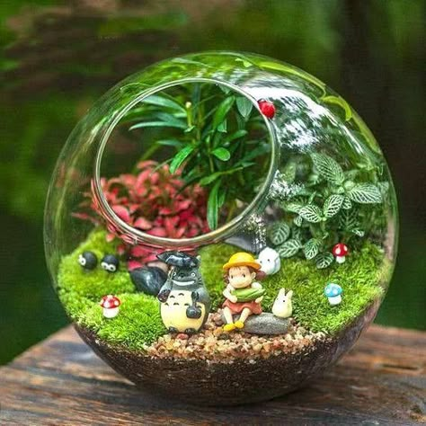 Fairy Garden Pots, Beautiful Terrariums, Mini Terrarium, نباتات منزلية, Fairy Garden Designs, Terrarium Ideas, Mini Fairy Garden, Terrarium Diy, Garden Terrarium