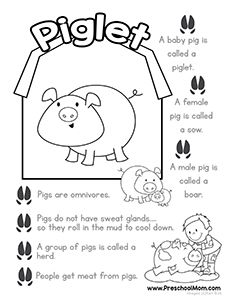 A set of seven different color and learn pages, each featuring a baby farm animal, foot prints, and facts for children to learn. These are great for small bits of learning and you can read the facts as your child colors in their page.  We have another set of color and learn pages for Arctic … Horse Facts For Kids, Farm Facts, Farm Lessons, Farm Animals Activities, Farm Theme Preschool, Preschool Mom, Farm Unit, Farm Animals Theme, Farm Preschool