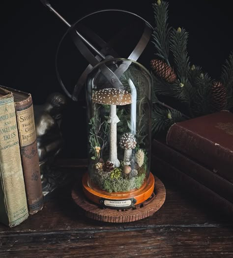 Handmade poisonous Amanita pantherina mushroom in glass cloche on Etsy. Faux Terrarium, Cloche Terrarium, Naturalist Decor, Cloche Decor, Green Academia, Glass Dome Cloche, Cloche Domes, Moss Terrarium, Glass Cloche