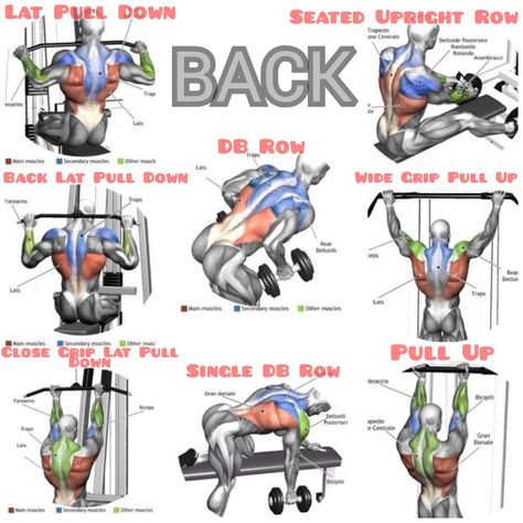 My Favorite Back Workouts Back Workout Chart, Gym Machine Workouts For Men, Mens Back Workout Gym, Huge Back Workout, Back Muscle Training, Whole Back Workout, Good Back Exercises, Men’s Back Workout, Back Excersice Gym Men