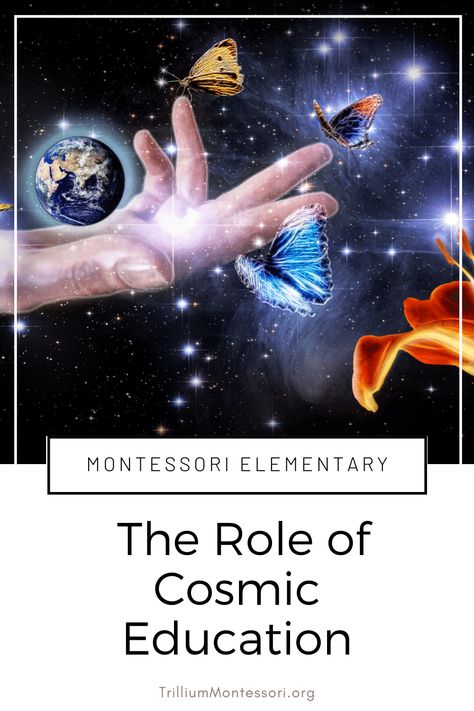 The role of cosmic education in the Montessori Elementary curriculum. Cosmic Education Montessori, Wonders Curriculum Third Grade, Foreign Language Teaching, Elementary Curriculum, Montessori Elementary, Montessori Art, Montessori Lessons, Montessori Preschool, Montessori Education