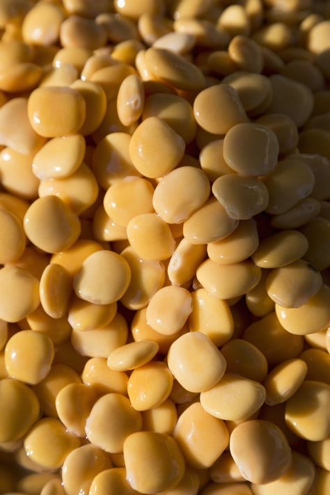 Lupine Beans Recipe, Lupin Beans Recipe, Lupini Beans Recipe Dishes, Roasted Lupini Beans, Lupini Bean Flour Recipes, Canneli Beans, Lupine Beans, Lupini Beans Recipe, Lupini Beans