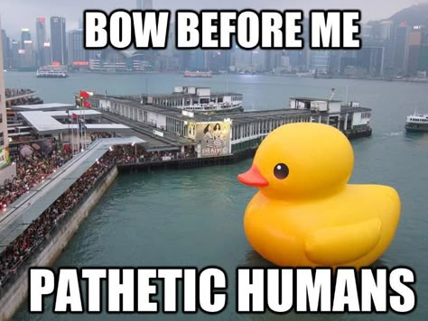 Rubber Ducky Rubber Duck, Humor, Memes, Yellow, Funny, Water, Humour