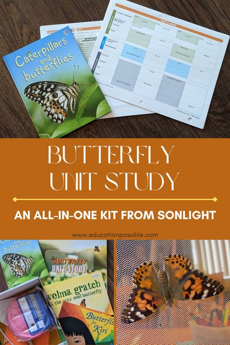 Butterfly Unit Study, Teaching Middle School Science, All About Butterflies, Butterfly Migration, Butterflies Activities, Butterfly Science, Butterfly Kit, Flying Creatures, About Butterflies