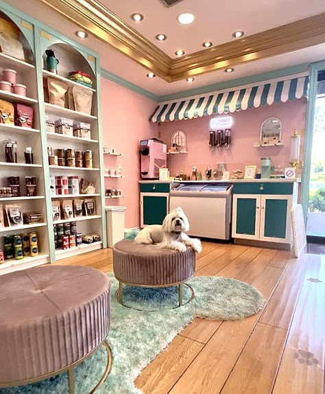 Luxury Grooming Salon, Boho Dog Grooming Salon, Pet Boutique Ideas Store Design, Dog Grooming Shop Ideas Interior Design, Pet Store Aesthetic, Dog Groomer Aesthetic, Dog Grooming Shed Salon, Dog Salon Ideas Interior Design, Pet Grooming Salon Ideas Design