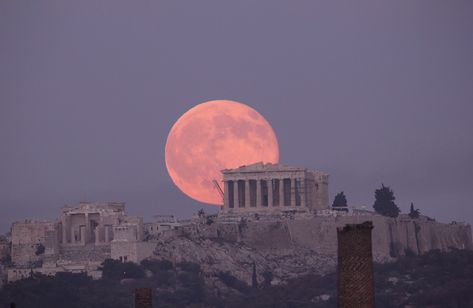 The Parthenon & a beautiful moon -- The Acropolis, Athens, Greece The Full Moon, Acropolis, Oh The Places Youll Go, Pretty Places, Larp, Dream Vacations, Full Moon, Beautiful World, Wonders Of The World