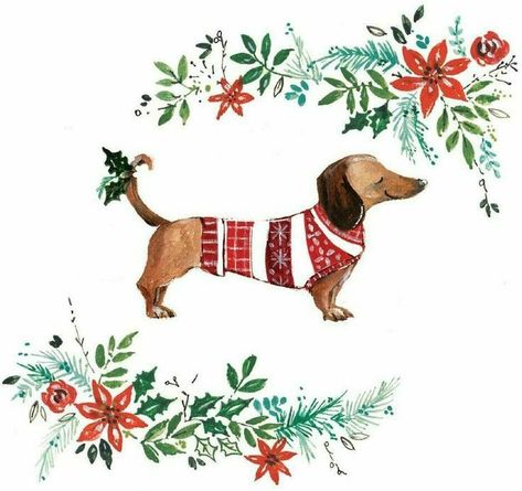 Merry Christmas Son, Dog Window, Welsh Language, Charity Christmas Cards, Xmas Jumpers, Dachshund Art, Dachshund Christmas, Watercolor Christmas Cards, Dog Cards