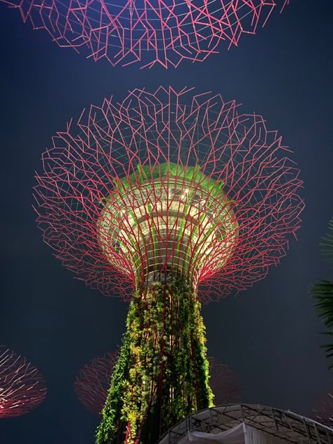 Gardens by the bay night show light show singapore light up trees Singapore Light Show, Light Up Tree, Night Show, Show Lights, Gardens By The Bay, Light Show, Singapore, Light Up