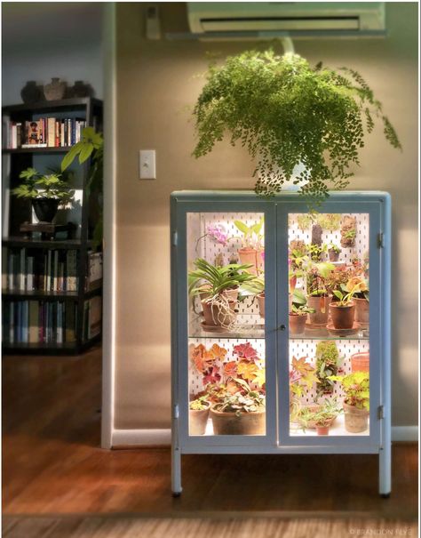 Indoor Greenhouse Cabinet, Greenhouse Ikea, Diy Indoor Greenhouse, Greenhouse Cabinet, Ikea Greenhouse, Indoor Greenhouse, Plant Care Houseplant, Inside Plants, Easter Basket Diy