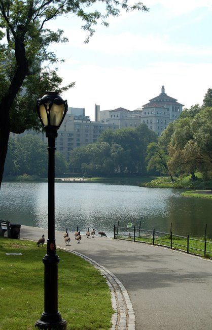 Harlem Meer, New York. Voyage New York, I Love Nyc, Ny City, Nova York, Dream City, Concrete Jungle, Staten Island, New York State, Best Cities